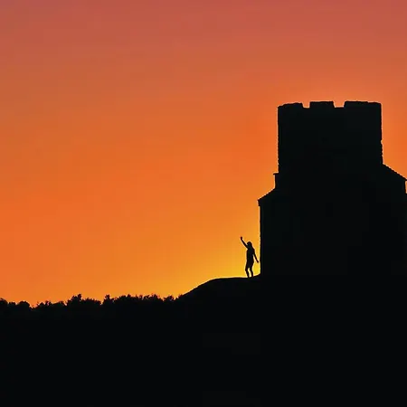 Vrsi-mulo 11