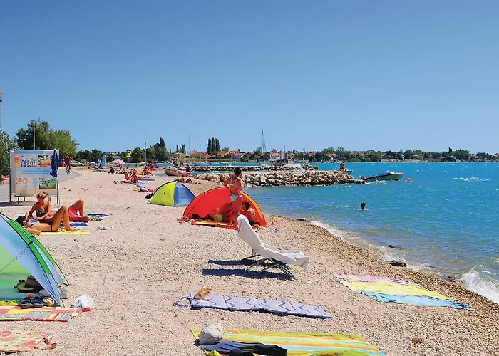 Vrsi-mulo 11 ヴーシ